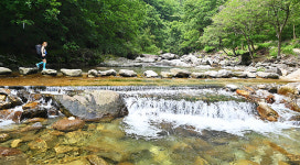 차고 맑은 물 흘러넘치는 계곡서 한나절… 전철·버스 갈아타고 한달음에 닿았다