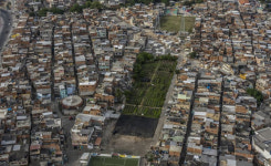 코카인 대신 양상추… 브라질, 인플레 장기화에 ‘도시농업’ 인기
