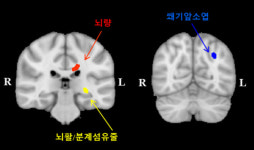 행복해지고 싶다면, 뇌에게 휴식을..