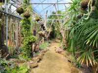 허브·분재정원…경남 민간정원서 가을 맛보자