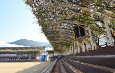 땡볕 막은 운동장 · 해 품은 요양원 ‘공간 쓰임’ 만큼 돋보인 ‘마음 씀’[박경일 기자의 여행]