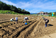 곧 ‘봄’, 서울 근교에 텃밭 꾸며볼까