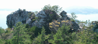 갯벌서 1700년 기다린 ‘침향’ , 불상 되어 ‘구원의 향’ 내뿜다[박경일기자의 여행]