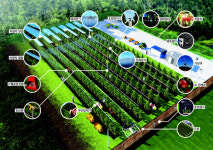 경북에 전국 첫 사과 스마트팜 들어서…생산성 증가·병충해 피해 절반 감소 효과