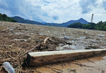 쓰레기장처럼 바뀐 청풍호…중부지방 폭우로 나무·플라스틱 부유물 뒤덮었다