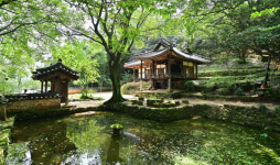 빗줄기 드리운 수직의 숲… 깊고 짙은 편백의 품에 안기다[박경일기자의 여행]