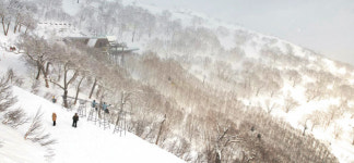 거대한 운해 맛보고 ‘0번지 술집’ 탐방… 현지인처럼 설국의 매력을 즐긴다[박경일기자의 여행]