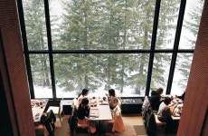 거대한 운해 맛보고 ‘0번지 술집’ 탐방… 현지인처럼 설국의 매력을 즐긴다[박경일기자의 여행]