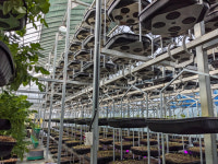 충남 보령시 - 코리아휠, 스마트팜 철거놓고 법정공방