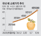 1개 9000원짜리 배에 ‘멈칫’… 1년 내내 ‘과일 대란’ 우려