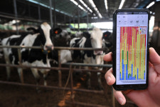 ‘센서 부착한 소’ 착유량 37㎏ → 45㎏… IoT 축사, FTA 경쟁력 높이다[FTA 경쟁력, 농업 고도화의 힘]