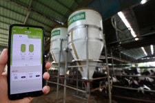 ‘센서 부착한 소’ 착유량 37㎏ → 45㎏… IoT 축사, FTA 경쟁력 높이다[FTA 경쟁력, 농업 고도화의 힘]