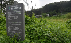 경실련 “그린벨트 해제로 집값잡기는 정책 실패…철회해야”