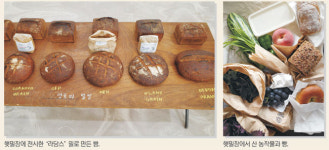 10가지 국내산 햇밀로 최고 베이커들이 구운 빵… 생들기름·버터 곁들인 한 접시 ‘5000원의 행복’[빵요정의 세상의 모든 디저트]