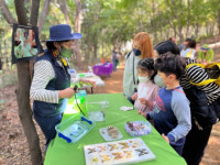 “숲에서 힐링하세요”…관악구, 다채로운 가족 숲체험 프로그램