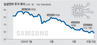 ASML 충격… 외국인, 삼성전자 순매도 최장기록 ?