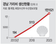 전국 생산량 65%… 고성 ‘가리비왕국’ 우뚝