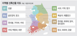 강원 키위·전남 망고… 이상고온에 바뀐 특산물 지도