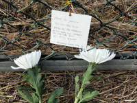 28명은 지문감식 못해 DNA 비교… 유족 절규