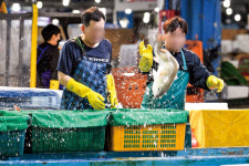 송파구, 긴 설 명절 보고, 먹고, 즐길 관내 명소 소개…몽촌토성·가락시장·송파책박물관 등