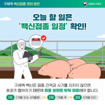 파주시, 소·염소 구제역 백신 일제접종…3월로 앞당겨