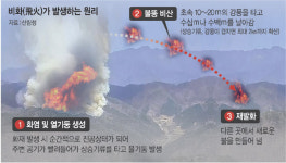 ‘괴물산불’ 강풍 타고 동해안으로… 태백·삼척도 안심 못한다