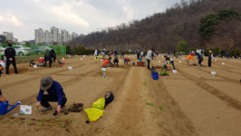 서초구, 도심 속 힐링공간 ‘도시텃밭’ 개장