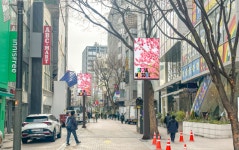 김길성 서울 중구청장 역점사업  ‘명동스퀘어’ 순항 중…‘미디어 폴’ 설치 본격화