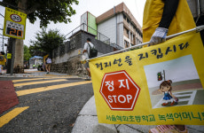 스쿨존 무신호 횡단보도 앞 ‘일시정지’ 아무도 안 지켰다