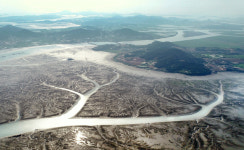 순천·보성·신안 이어 여수·고흥·무안갯벌도 세계유산 등재 추진