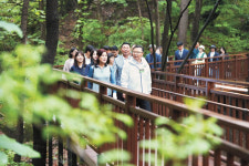 장애인도 편안히… 봉화산 이용객 300만 돌파[서울인사이드]