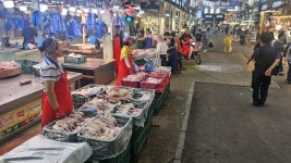 전통시장 발길 뚝 “닭 없어 못팔았었는데… 복날에도 놀아요”