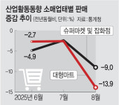 경기회복 마중물이라더니… 소비쿠폰 ‘반짝 효과’ 끝 ?
