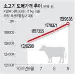 ‘이렇게 다를수가~’···백화점 vs 마장동, 추석 손님 비교해 보니