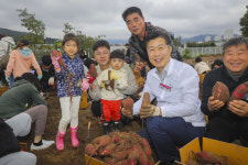 2025년 내곡의 가을! 가족과 함께 하는 농촌체험…서초구, ‘고구마 캐기 행사’로 나눔의 행복 전해
