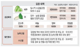 ‘배추·무 풍작+500억 지원’… 올해 김장대란 없다