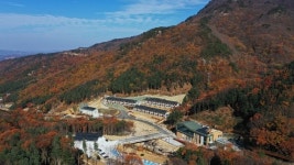 전북 진안, 국내 두 번째 산림치유원 개원