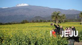 제주 단체로 가면 1인당 3만원…여행 오자마자 ‘현금처럼’ 지급