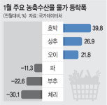 1월 물가 2% 올라 선방했지만… 한파맞은 호박 39%·오이 21%↑