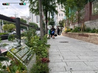 종로구 “창신초 보호구역에 안전·쉼 더한 ‘녹색 통학로’ 조성”