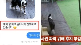 “실종”이라더니 폐사 ‘무슨 일?’…애견호텔 CCTV삭제, 은폐정황