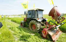 벼 갈아엎는 農心