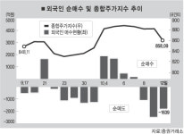 대일종합기술주 | 반등주역서 이번엔 급락주도 ''어닝쇼크'' IT주 어디로