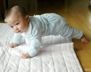 [디카패밀리]팔 굽혀 펴기쯤이야…