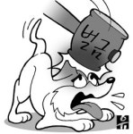 [설왕설래]개 조심