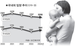 국내입양 아직 걸음마