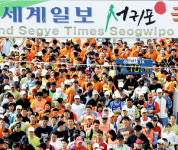 2월의 제주 마라톤 열기 가득