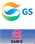 GS그룹 출범 액땜 매섭네