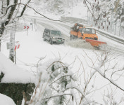 강원에 春雪