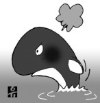 [설왕설래]고래사냥